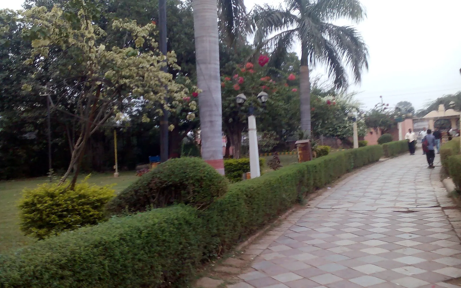 Lawns and paths at Chambal Garden, Kota